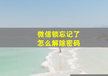 微信锁忘记了怎么解除密码