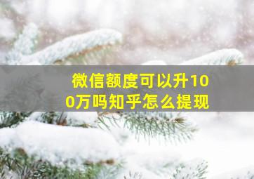 微信额度可以升100万吗知乎怎么提现