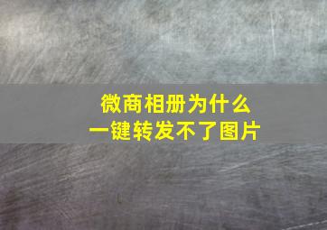 微商相册为什么一键转发不了图片