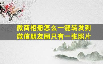 微商相册怎么一键转发到微信朋友圈只有一张照片