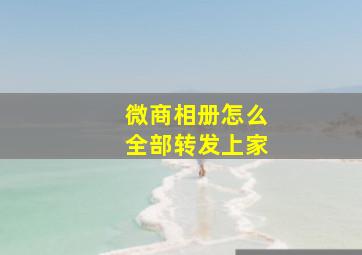 微商相册怎么全部转发上家