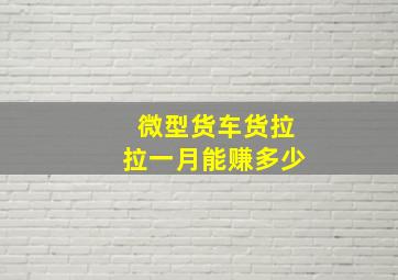 微型货车货拉拉一月能赚多少