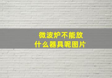 微波炉不能放什么器具呢图片