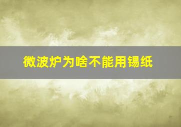 微波炉为啥不能用锡纸