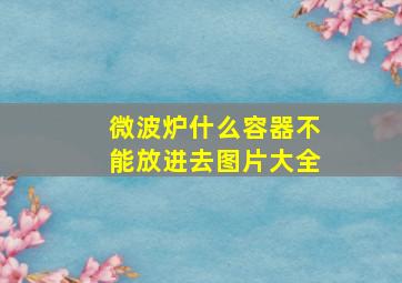 微波炉什么容器不能放进去图片大全