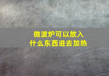 微波炉可以放入什么东西进去加热