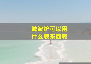 微波炉可以用什么装东西呢