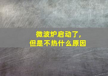 微波炉启动了,但是不热什么原因