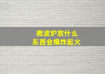 微波炉放什么东西会爆炸起火