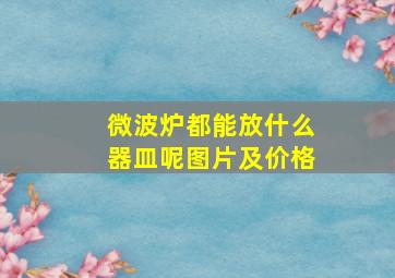 微波炉都能放什么器皿呢图片及价格