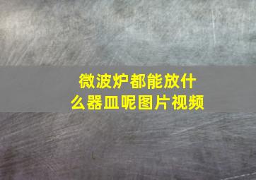 微波炉都能放什么器皿呢图片视频