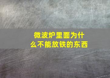 微波炉里面为什么不能放铁的东西