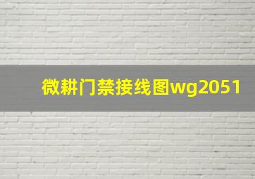 微耕门禁接线图wg2051