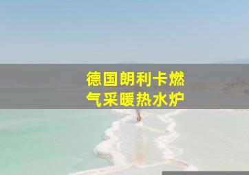 德国朗利卡燃气采暖热水炉