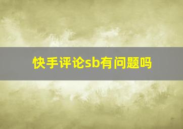 快手评论sb有问题吗