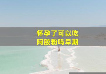 怀孕了可以吃阿胶粉吗早期