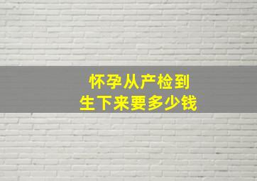 怀孕从产检到生下来要多少钱