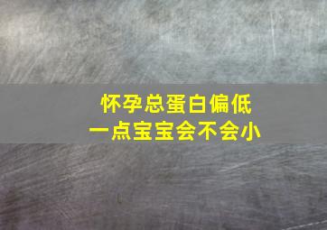 怀孕总蛋白偏低一点宝宝会不会小