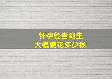 怀孕检查到生大概要花多少钱