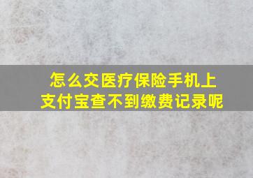 怎么交医疗保险手机上支付宝查不到缴费记录呢