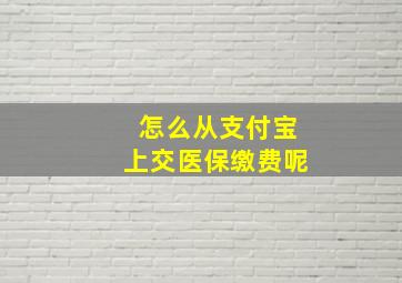 怎么从支付宝上交医保缴费呢