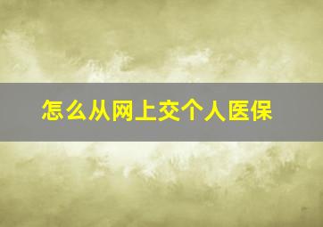 怎么从网上交个人医保