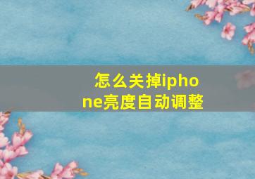 怎么关掉iphone亮度自动调整