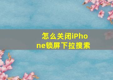 怎么关闭iPhone锁屏下拉搜索