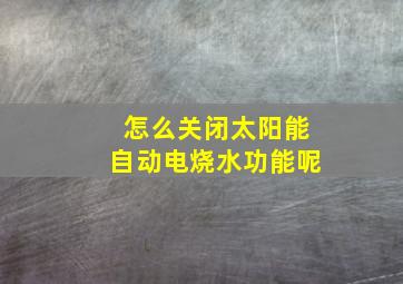 怎么关闭太阳能自动电烧水功能呢