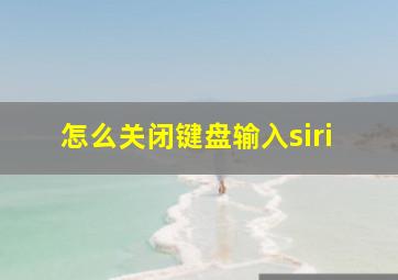 怎么关闭键盘输入siri