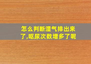 怎么判断湿气排出来了,呕尿次数增多了呢