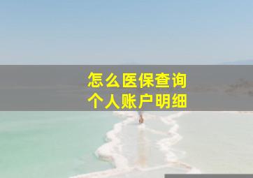 怎么医保查询个人账户明细