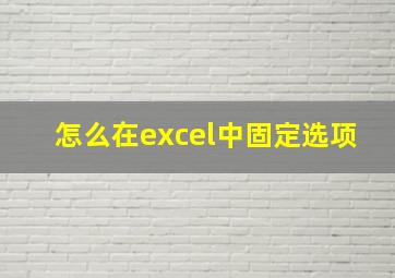 怎么在excel中固定选项