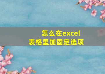 怎么在excel表格里加固定选项