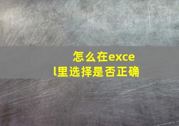 怎么在excel里选择是否正确