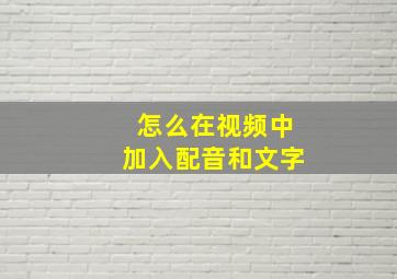 怎么在视频中加入配音和文字