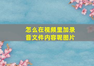 怎么在视频里加录音文件内容呢图片