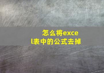 怎么将excel表中的公式去掉