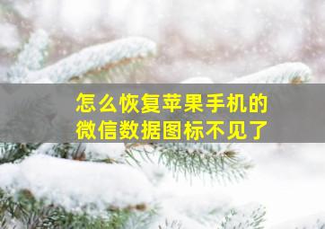 怎么恢复苹果手机的微信数据图标不见了