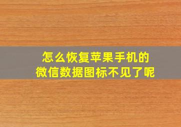 怎么恢复苹果手机的微信数据图标不见了呢