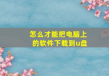 怎么才能把电脑上的软件下载到u盘