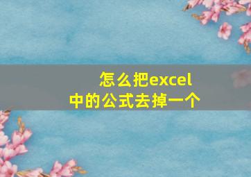 怎么把excel中的公式去掉一个