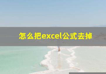 怎么把excel公式去掉