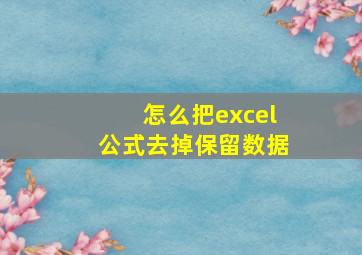 怎么把excel公式去掉保留数据