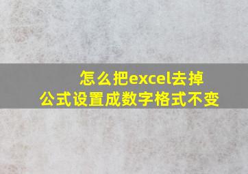 怎么把excel去掉公式设置成数字格式不变