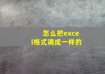 怎么把excel格式调成一样的