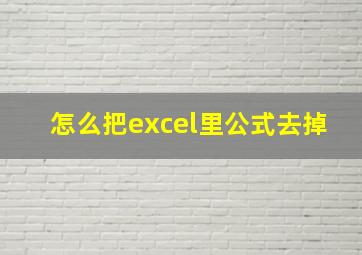 怎么把excel里公式去掉