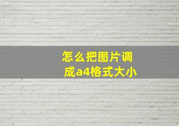 怎么把图片调成a4格式大小