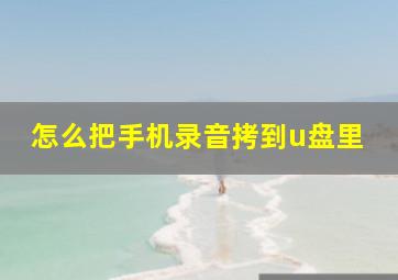 怎么把手机录音拷到u盘里