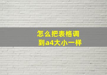 怎么把表格调到a4大小一样